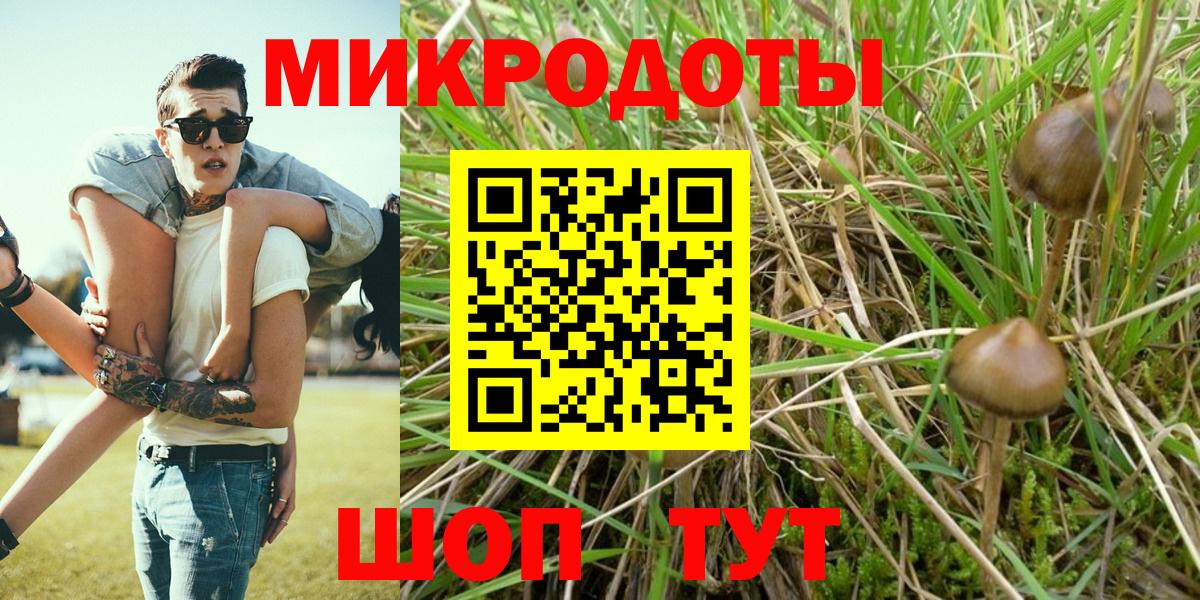 Псилоцибиновые грибы GOLDEN TEACHER  Вход с VPN  купить наркоту  Старый Оскол 