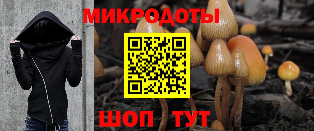 Галлюциногенные грибы Magic Shrooms Старый Оскол